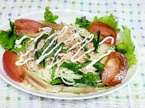 野菜たっぷり!サラダそうめん